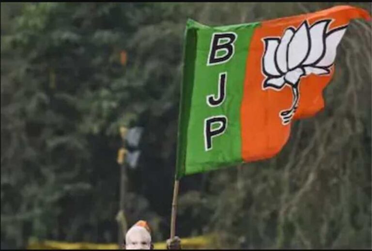 Nalin Mehta Writes: 5 Reasons Christophe Jaffrelot and Ashoka University Data on BJP, Caste Are Wrong